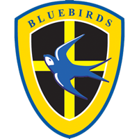 cardiff badge