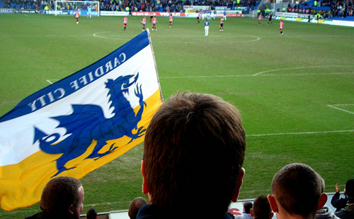 Cardiff Flag