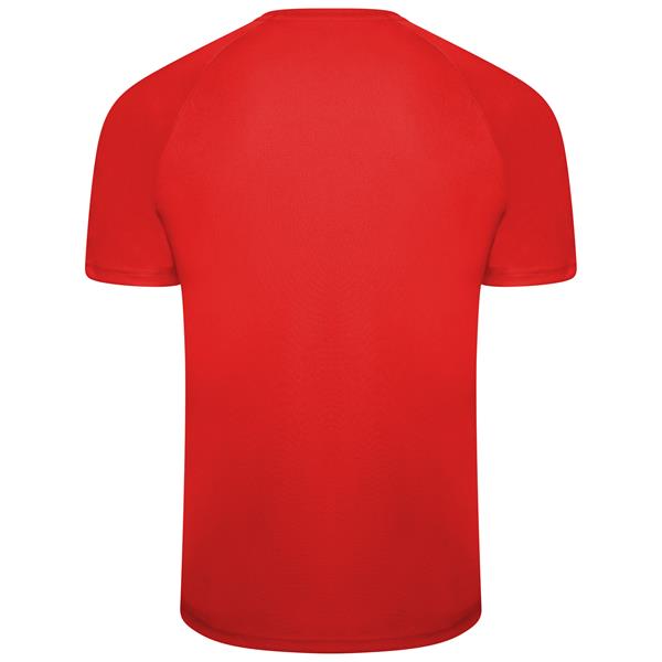Puma Liga Striped 22 Football Shirt Puma Red/Black