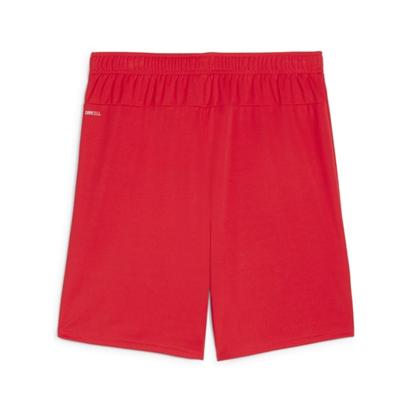 Puma Team Goal Football Short Red/White