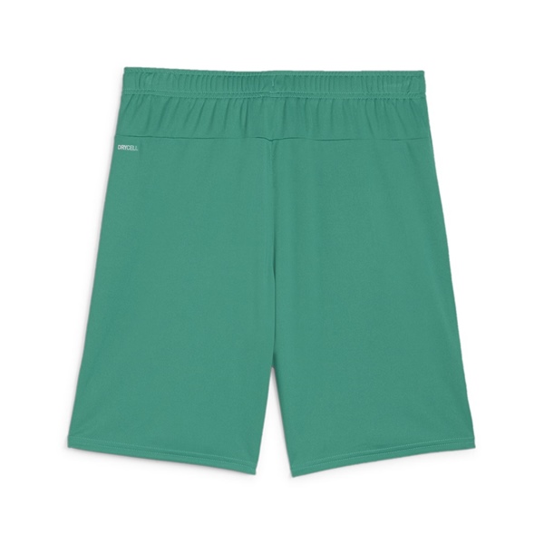 Puma Team Goal Football Short Sport Green/White