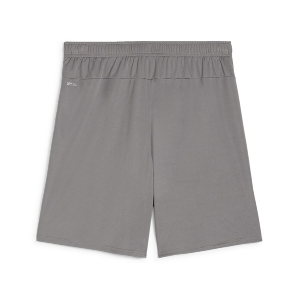 Puma Team Goal Football Short Cast Iron/White