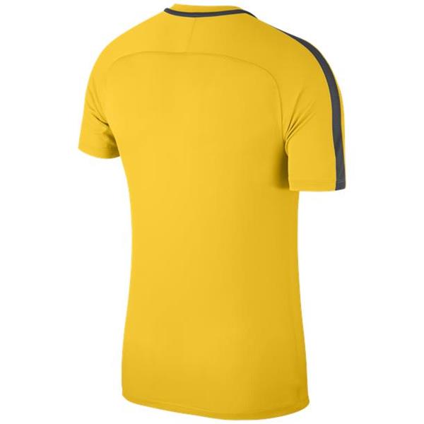 Nike Academy 18 Training Top Tour Yellow/Anthracite Youths