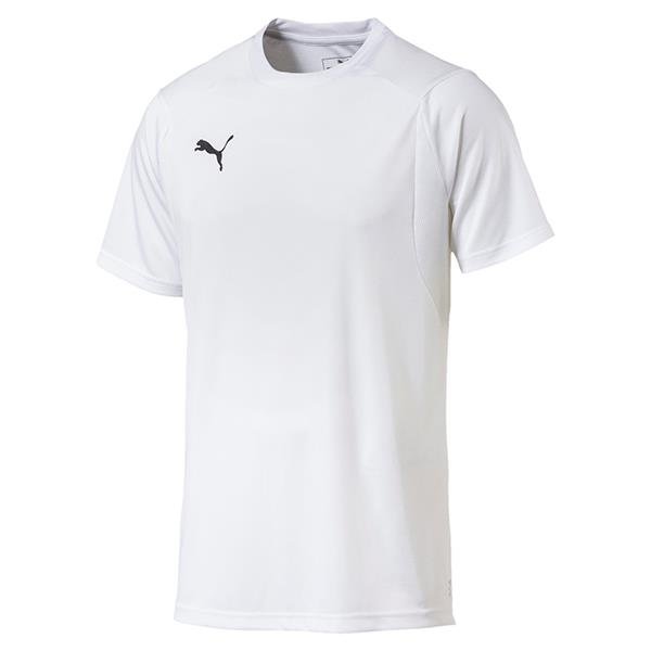 puma team final 21 jersey