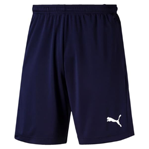 puma training shorts