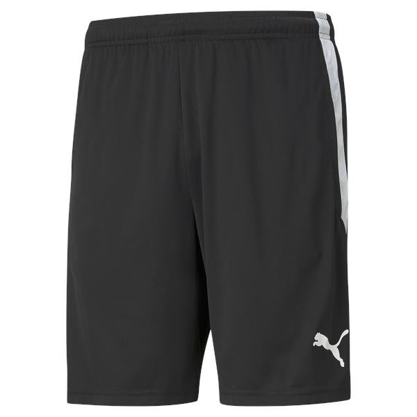 Puma Liga 22 Training Shorts Smoked Pearl