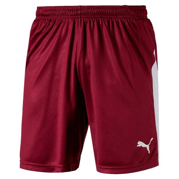 puma short pants