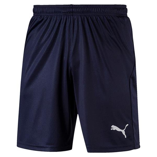 mens puma fleece shorts
