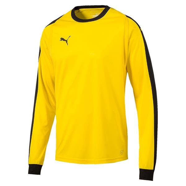 puma goalkeeper shirt