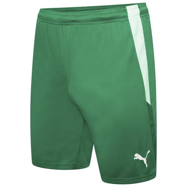 Puma Liga 22 Football Shorts Pepper Green/White