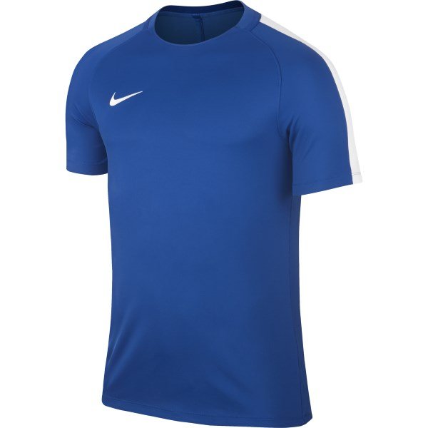 Nike Squad 17 Royal Blue/White Training Top