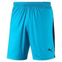 puma goalkeeper trousers