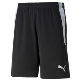 Puma Referee Shorts Black/white