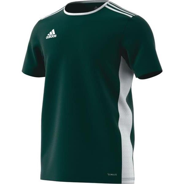adidas Entrada 18 Collegiate Green/White Football Shirt