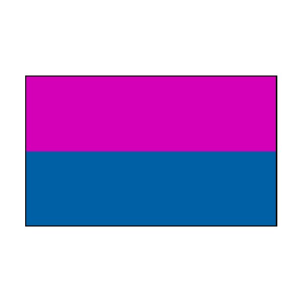 2 Colour Corner Flags Blue/Pink