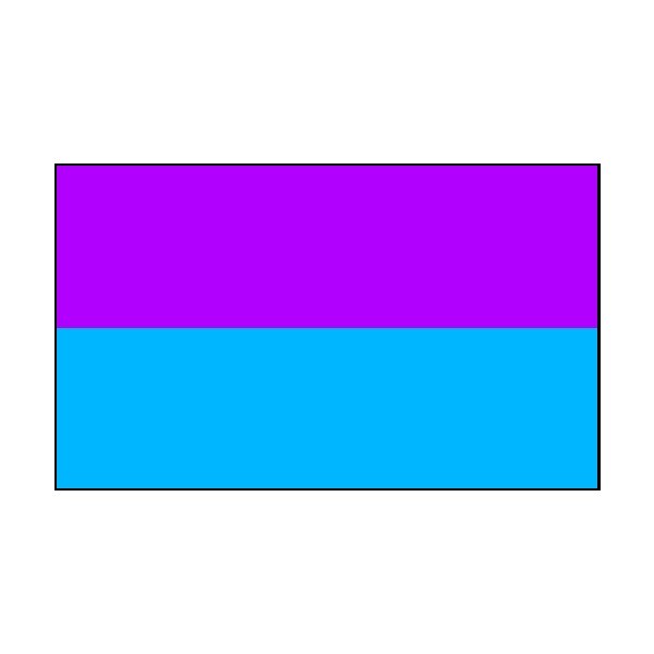 4 Corner Posts & 2 Colour Flags Purple/Sky Flags