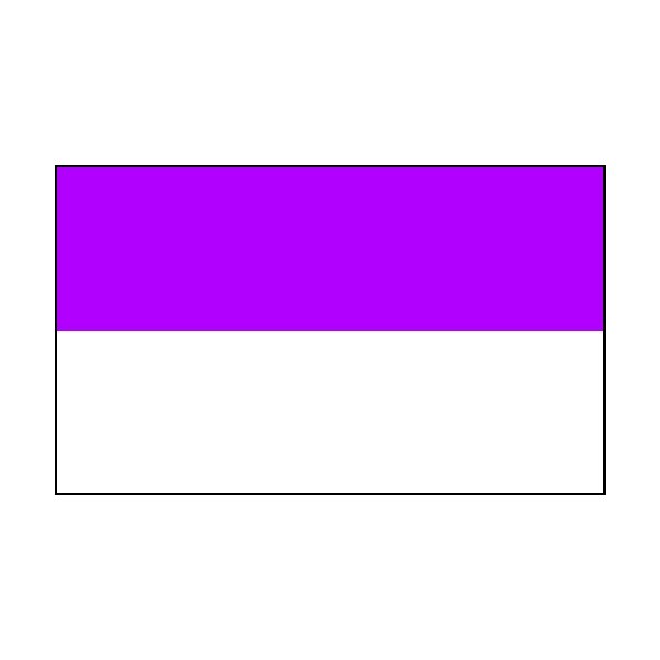 4 Corner Posts & 2 Colour Flags Purple/White Flags